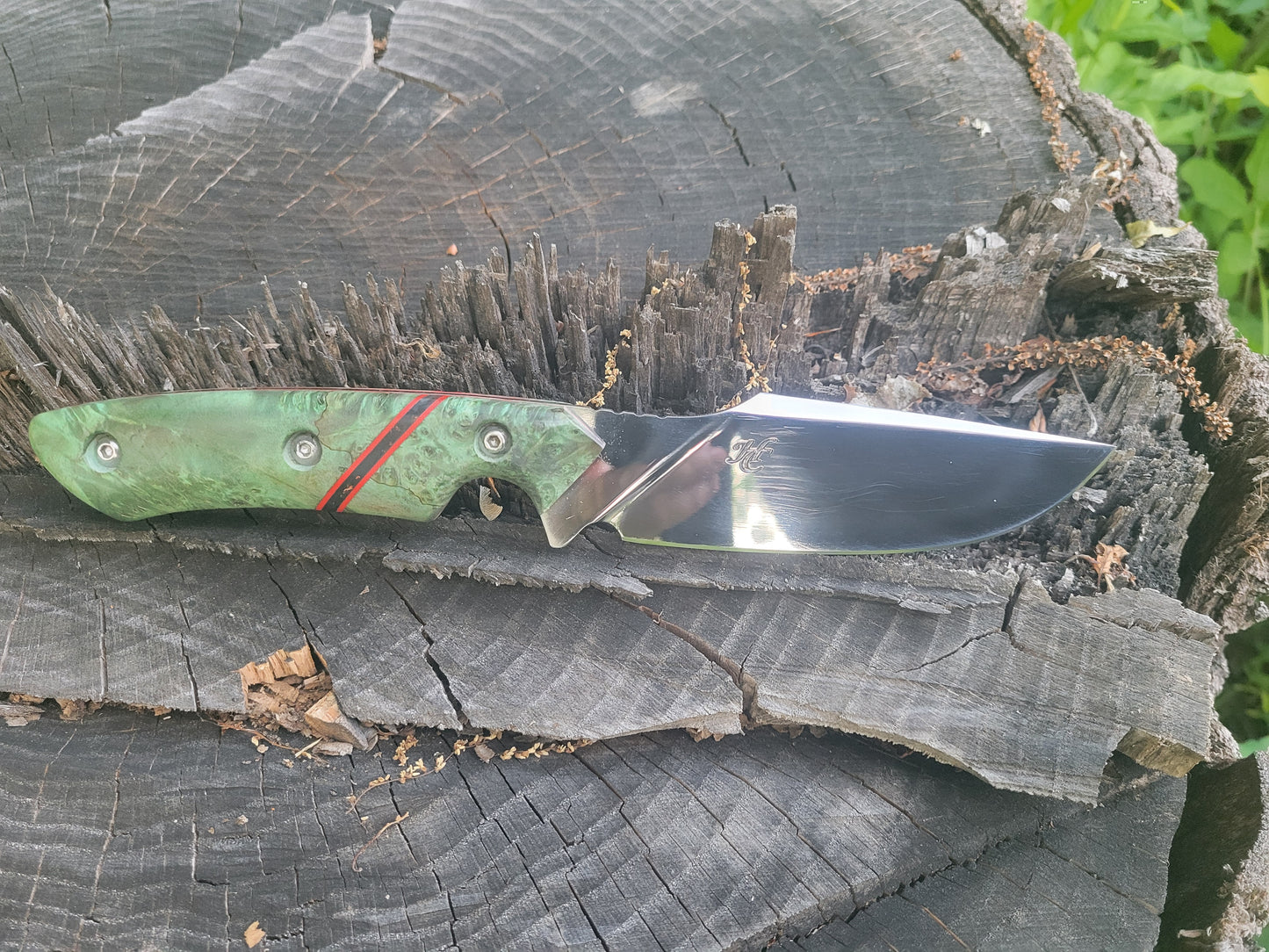 Aeb-l stainless hunter
