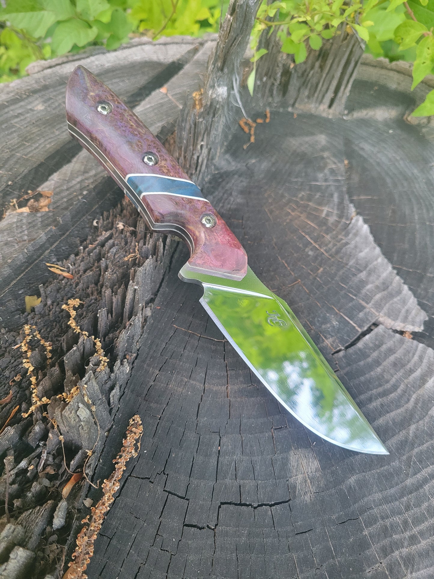 Stainless hunter