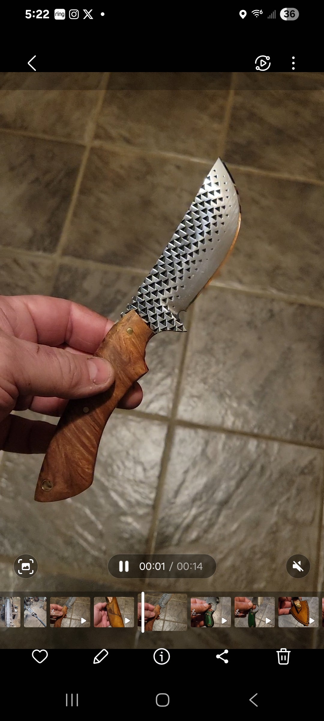 Ferrier rasp skinner
