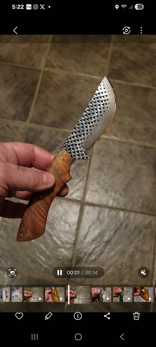 Ferrier rasp skinner